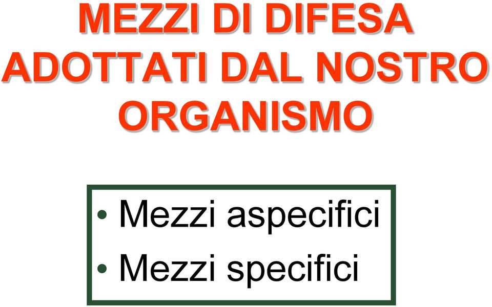 ORGANISMO Mezzi