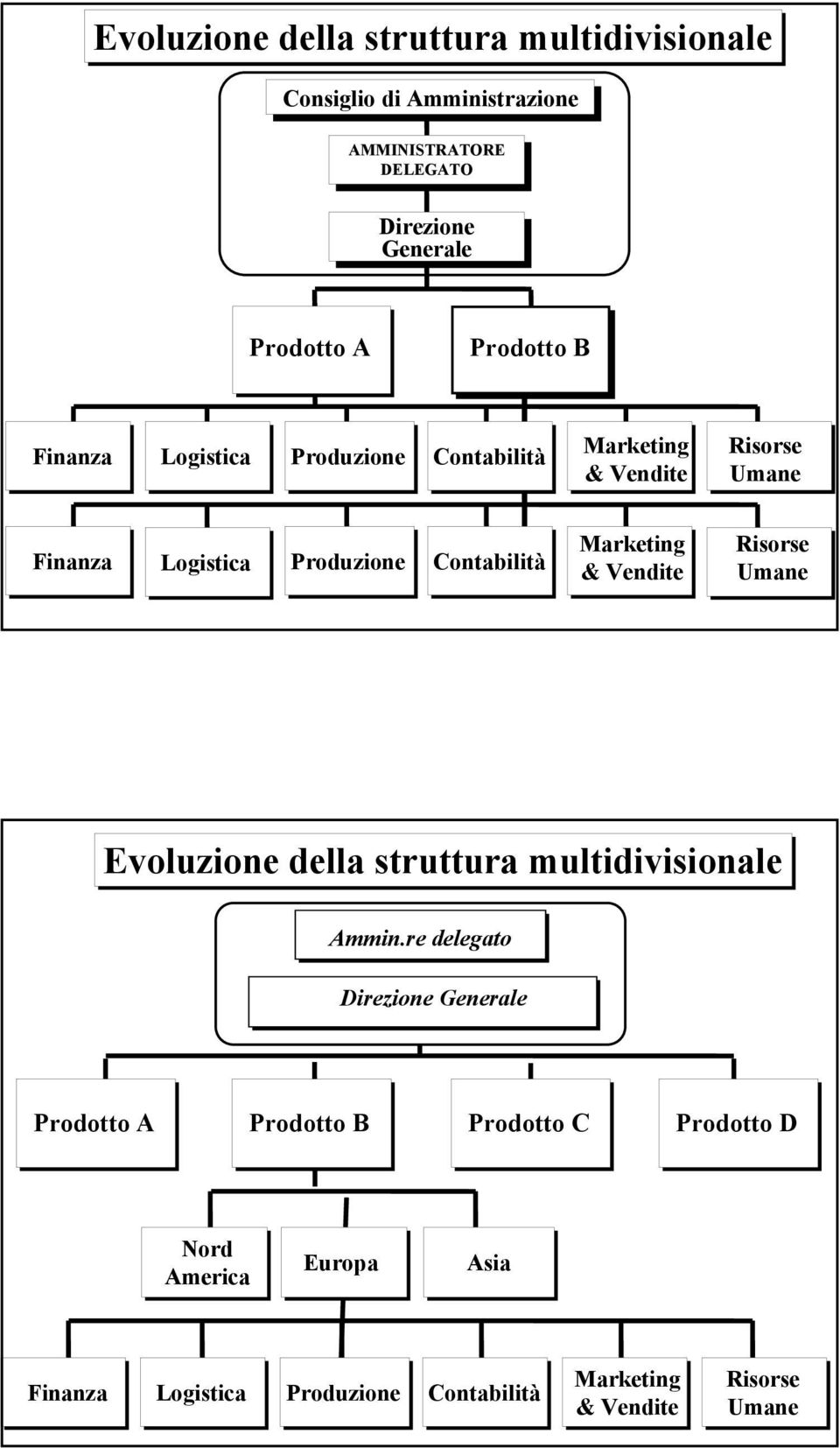 Contabilità & Vendite Risorse Umane Evoluzione della struttura multidivisionale Ammin.