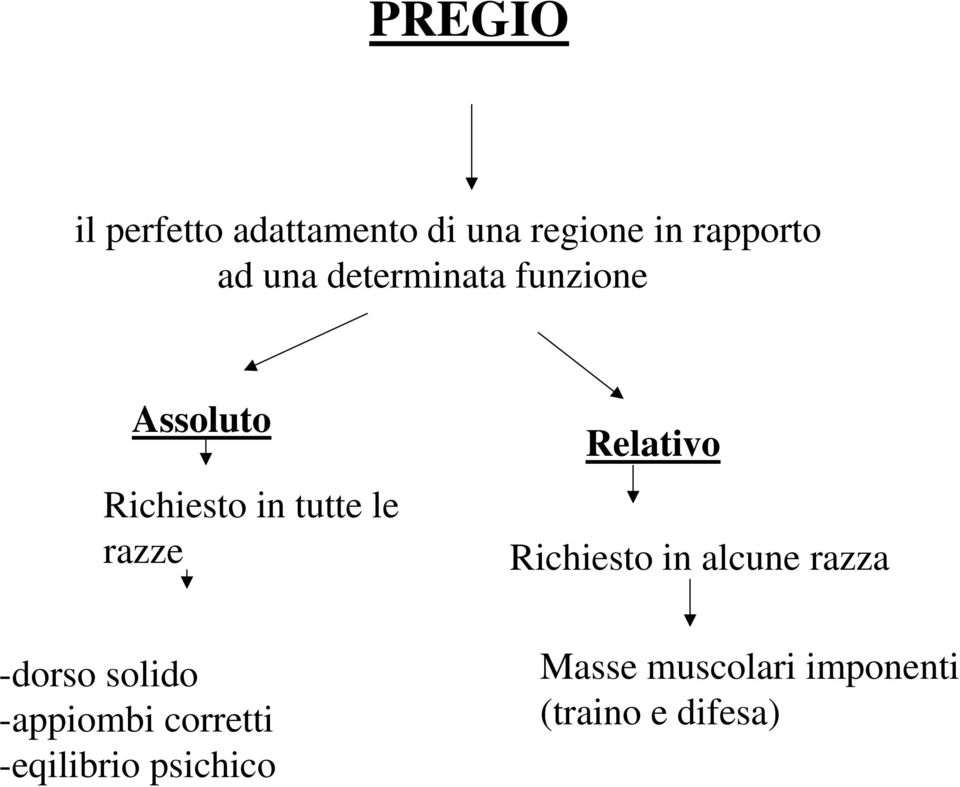 Relativo Richiesto in alcune razza -dorso solido -appiombi