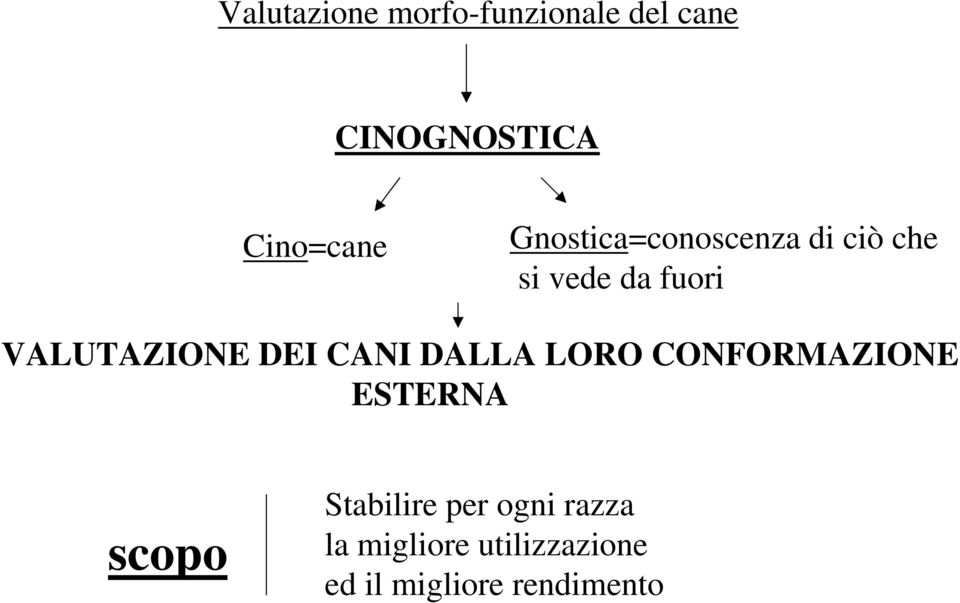 DEI CANI DALLA LORO CONFORMAZIONE ESTERNA scopo Stabilire per