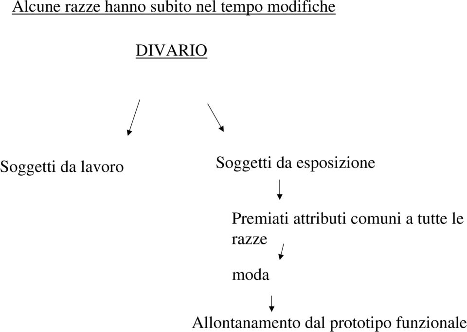 esposizione Premiati attributi comuni a tutte