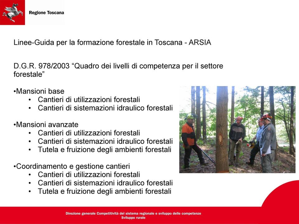 978/2003 Quadro dei livelli di competenza per il settore forestale Mansioni base Cantieri di utilizzazioni forestali Cantieri di