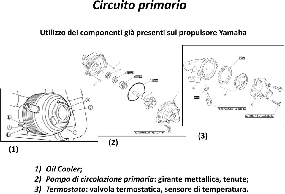 Pompa di circolazione primaria: girante mettallica,