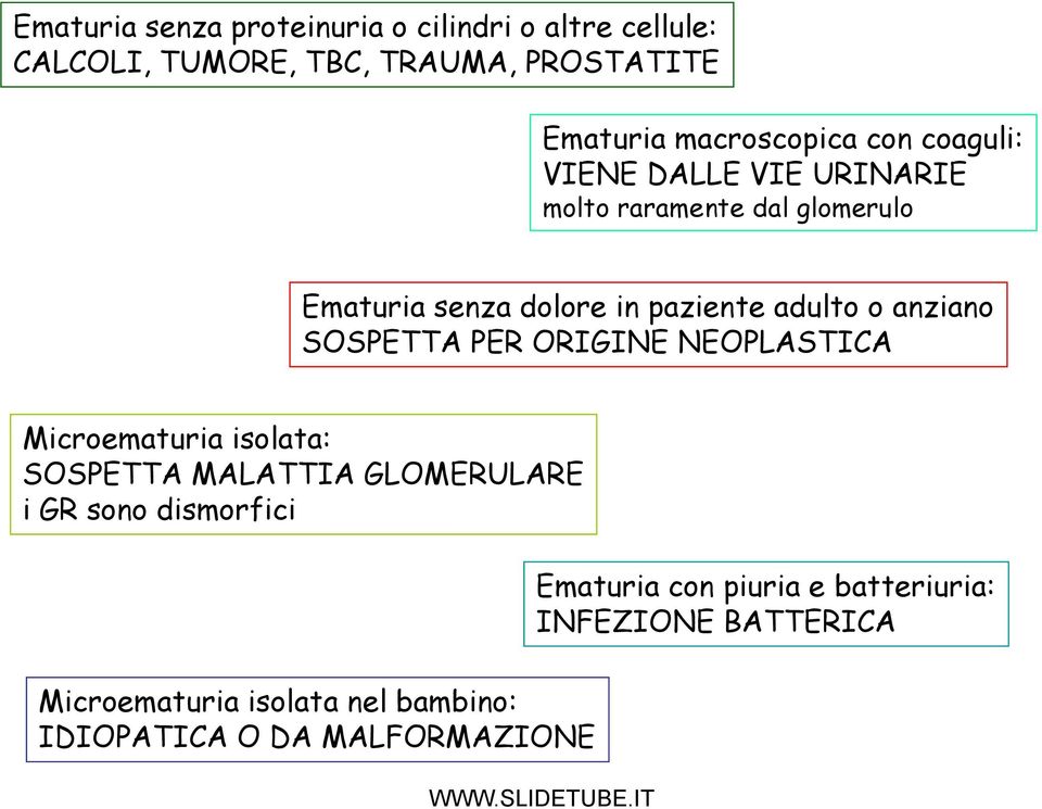 adulto o anziano SOSPETTA PER ORIGINE NEOPLASTICA Microematuria isolata: SOSPETTA MALATTIA GLOMERULARE i GR sono