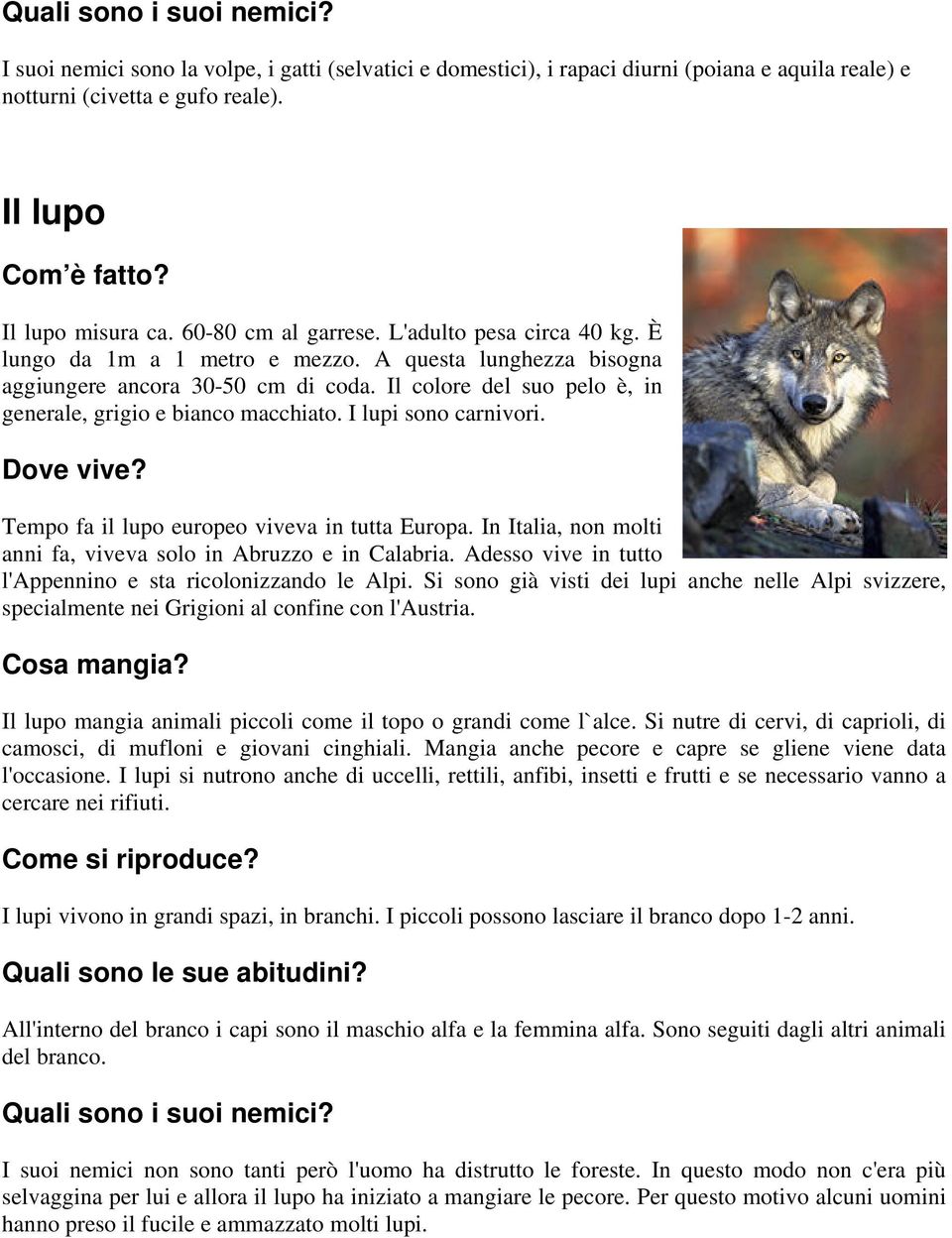 I lupi sono carnivori. Tempo fa il lupo europeo viveva in tutta Europa. In Italia, non molti anni fa, viveva solo in Abruzzo e in Calabria.