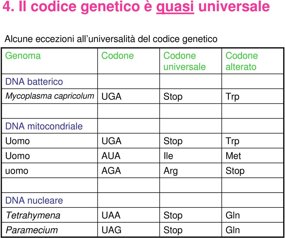 capricolum UGA Stop Trp Codone alterato DNA mitocondriale Uomo UGA Stop Trp Uomo