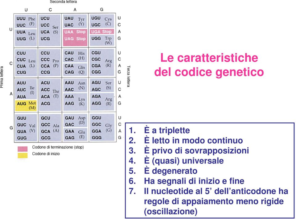 È (quasi) universale 5. È degenerato 6.