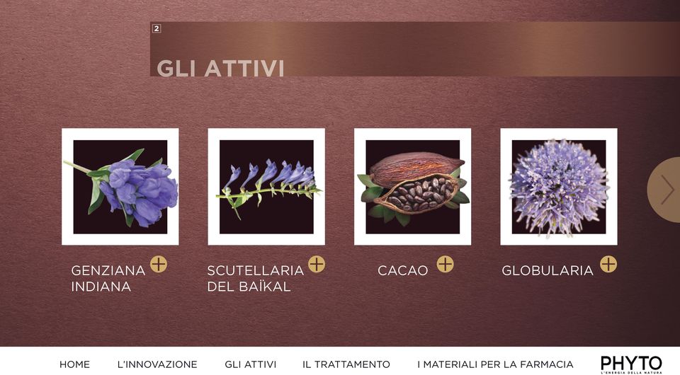 BAÏKAL GLI ATTIVI CACAO IL