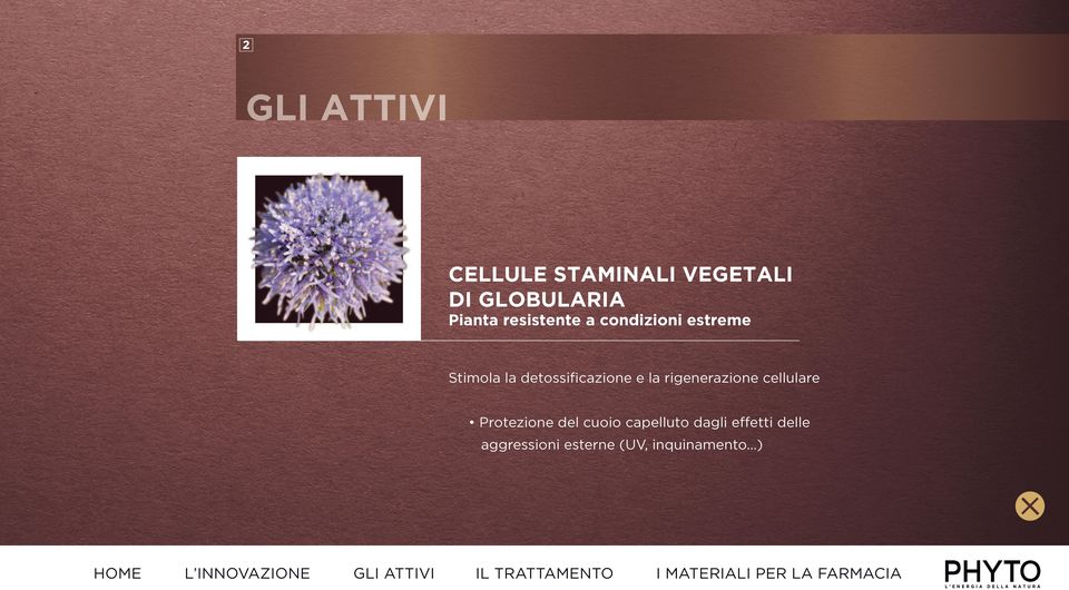 detossificazione e la rigenerazione cellulare Protezione