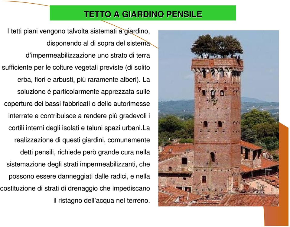 La soluzione è particolarmente apprezzata sulle coperture dei bassi fabbricati o delle autorimesse interrate e contribuisce a rendere più gradevoli i cortili interni degli isolati e