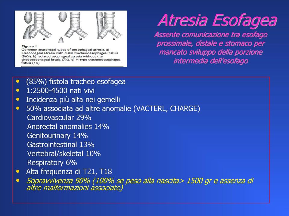 (VACTERL, CHARGE) Cardiovascular 29% Anorectal anomalies 14% Genitourinary 14% Gastrointestinal 13% Vertebral/skeletal 10%