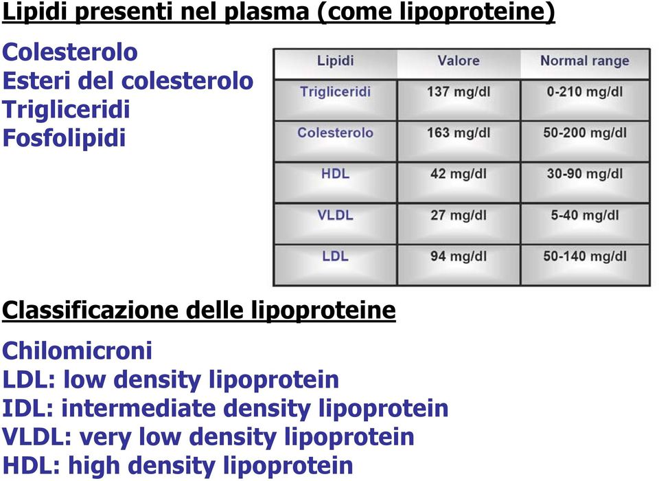 Chilomicroni LDL: low density lipoprotein IDL: intermediate density