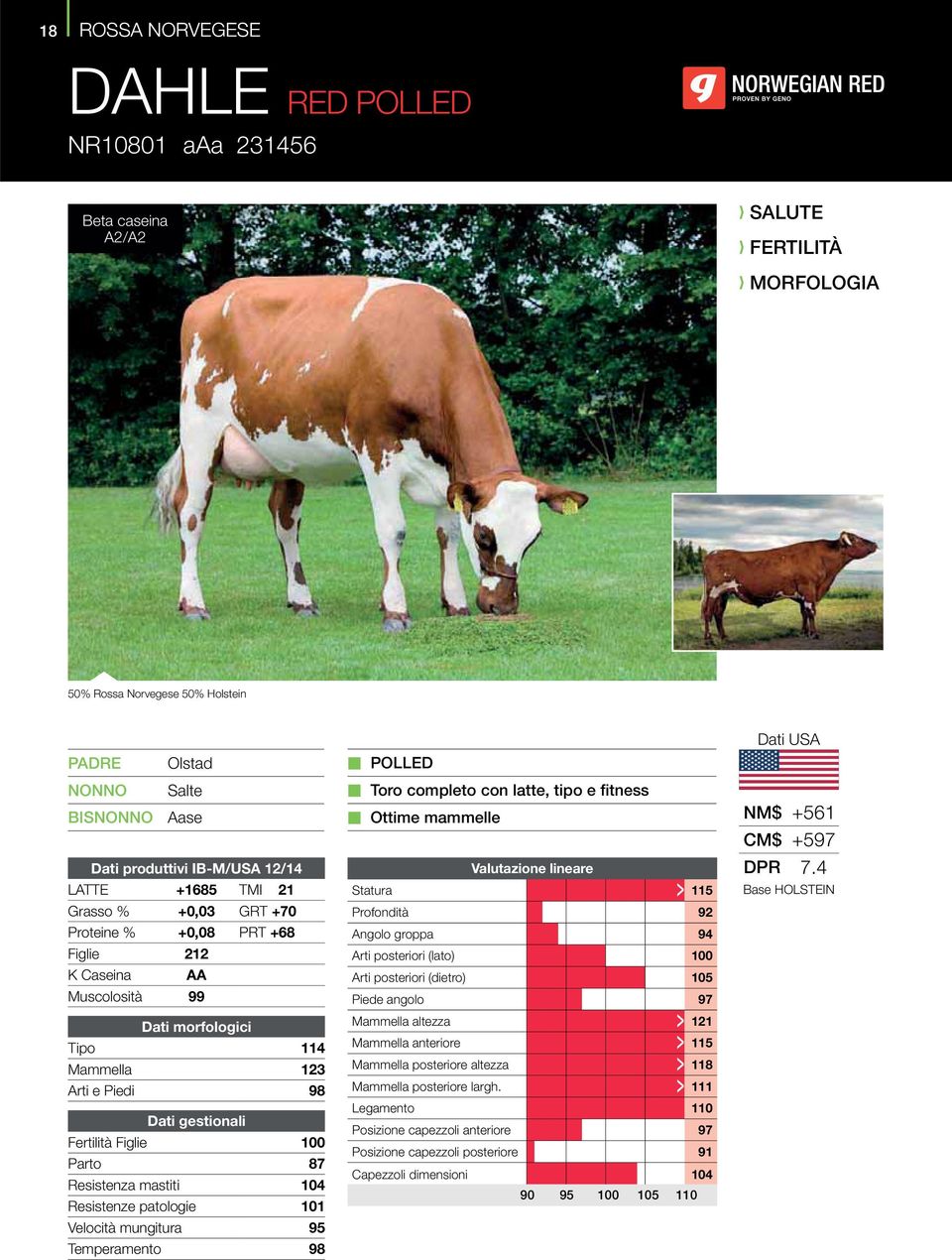 patologie 101 Velocità mungitura 95 Temperamento 98 POLLED Toro completo con latte, tipo e fitness Ottime mammelle Statura > 115 Profondità > 92 Angolo groppa > 94 Arti posteriori (lato) > 100 Arti