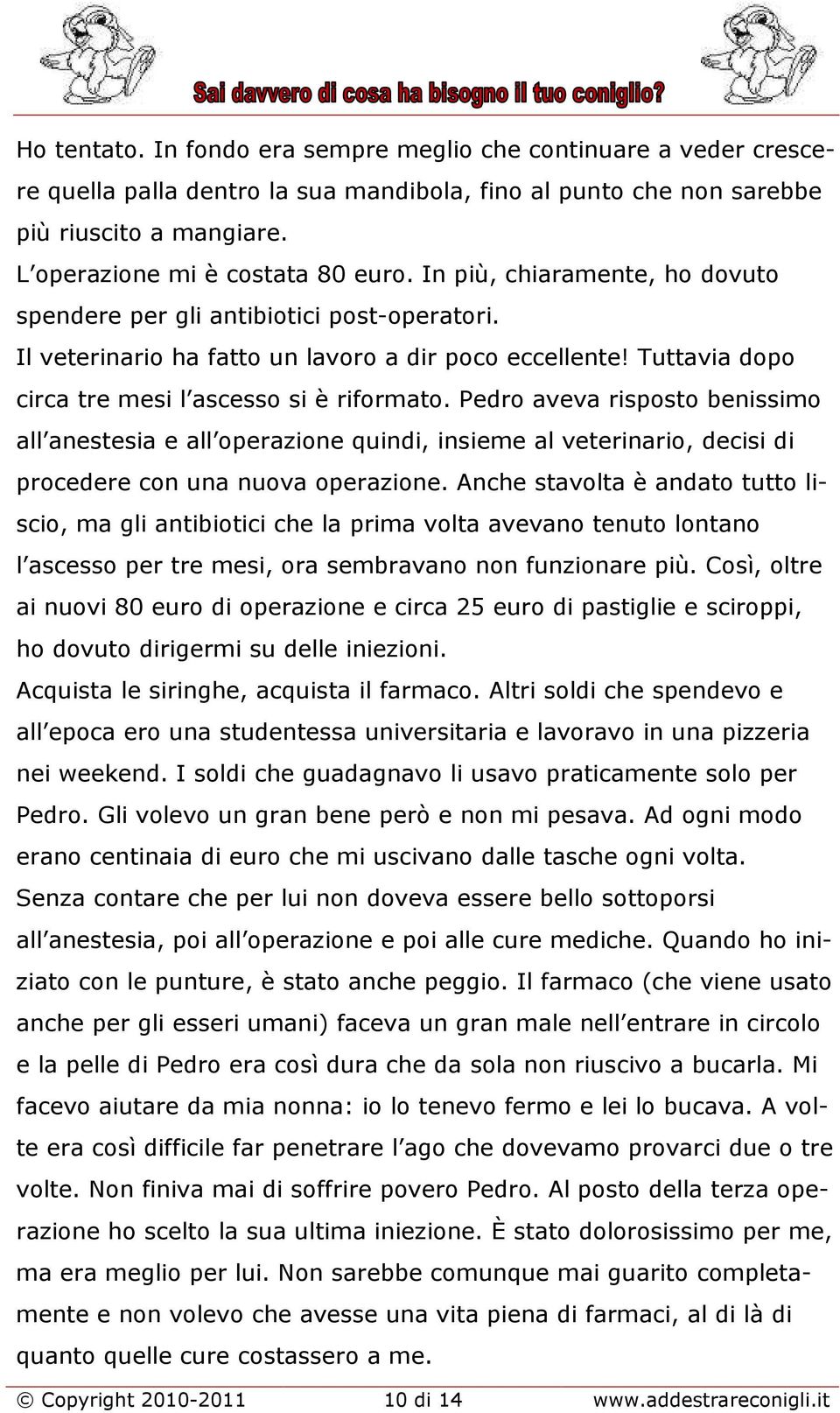 Pedro aveva risposto benissimo all anestesia e all operazione quindi, insieme al veterinario, decisi di procedere con una nuova operazione.