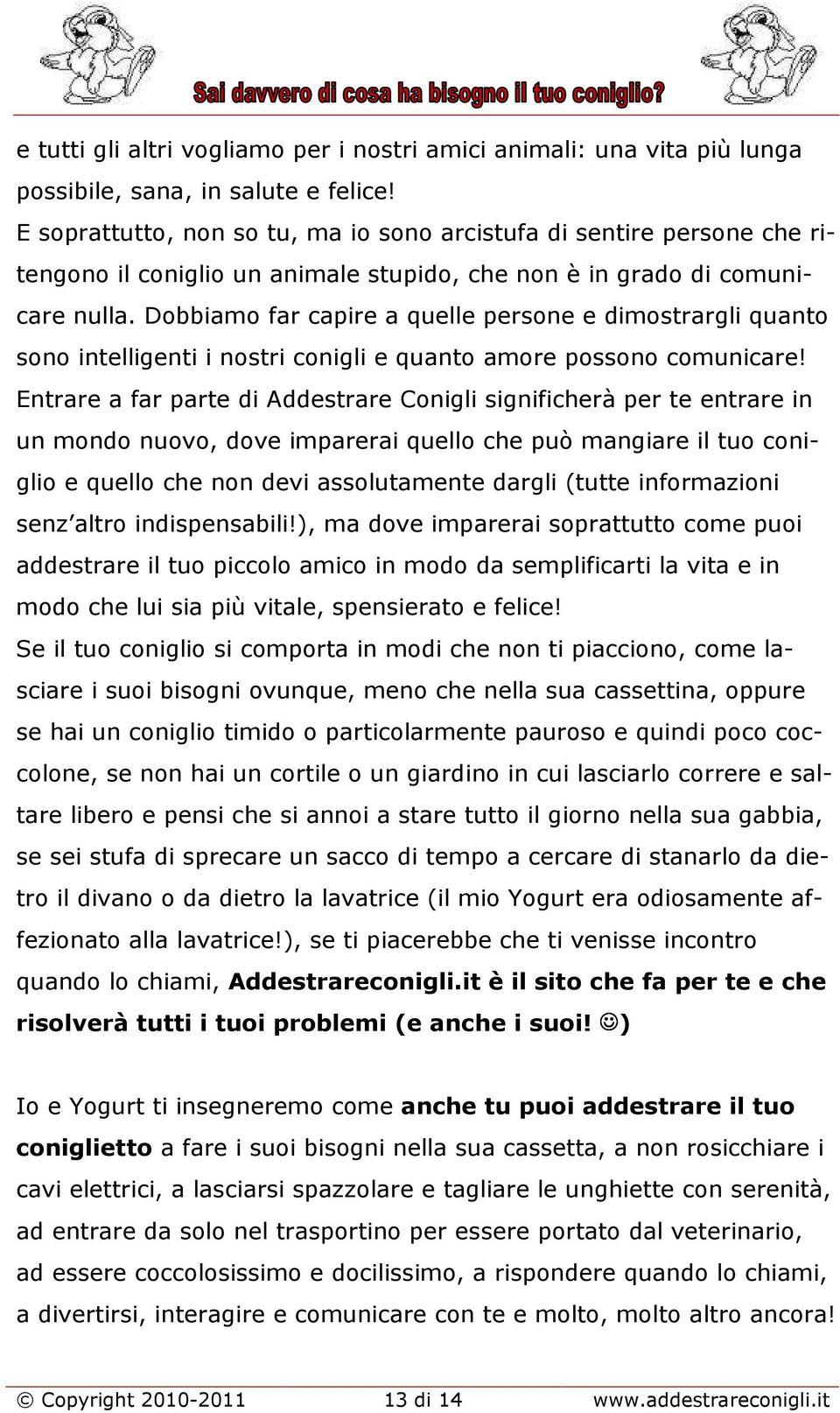 Dobbiamo far capire a quelle persone e dimostrargli quanto sono intelligenti i nostri conigli e quanto amore possono comunicare!