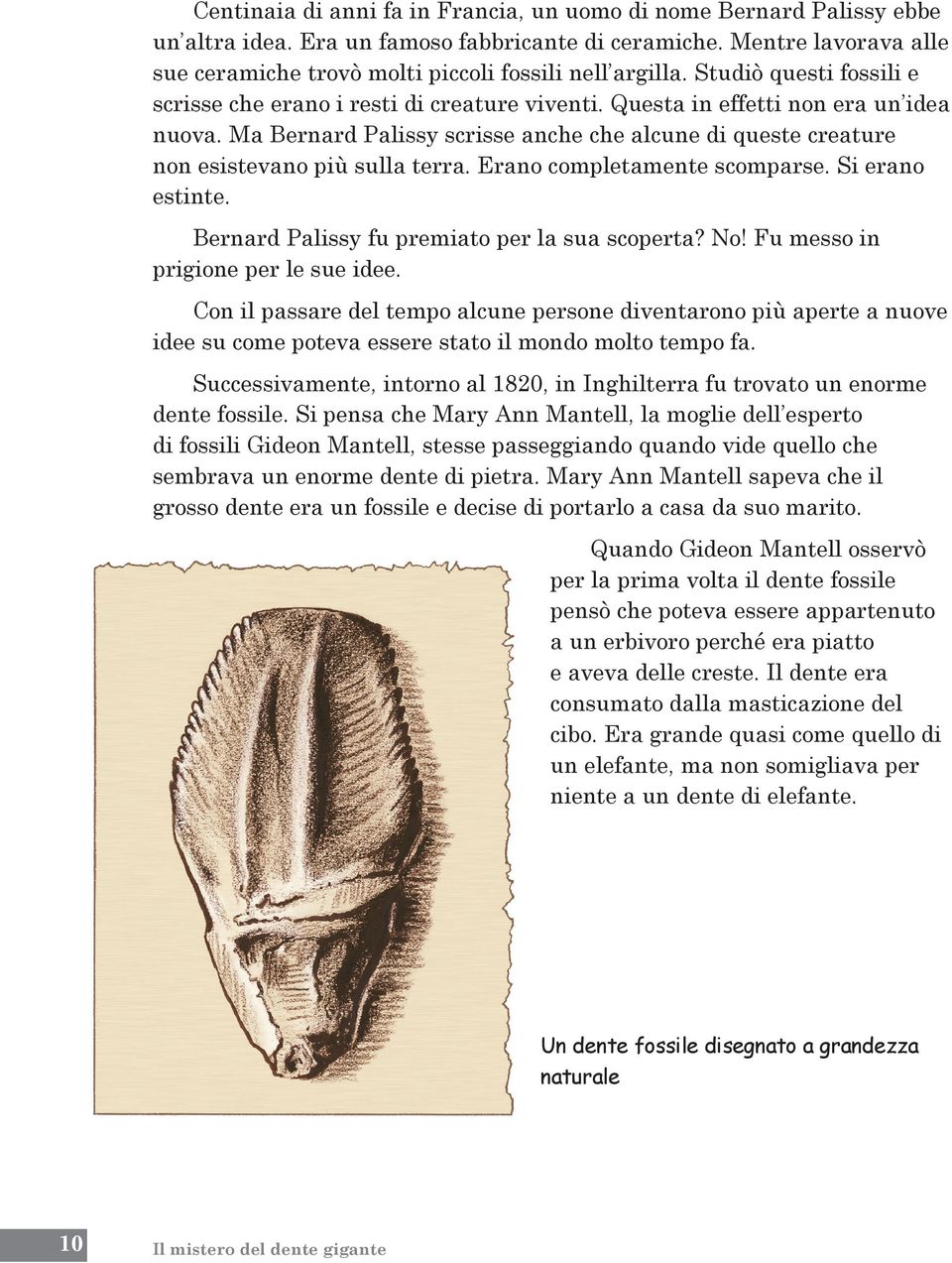 Ma Bernard Palissy scrisse anche che alcune di queste creature non esistevano più sulla terra. Erano completamente scomparse. Si erano estinte. Bernard Palissy fu premiato per la sua scoperta? No!