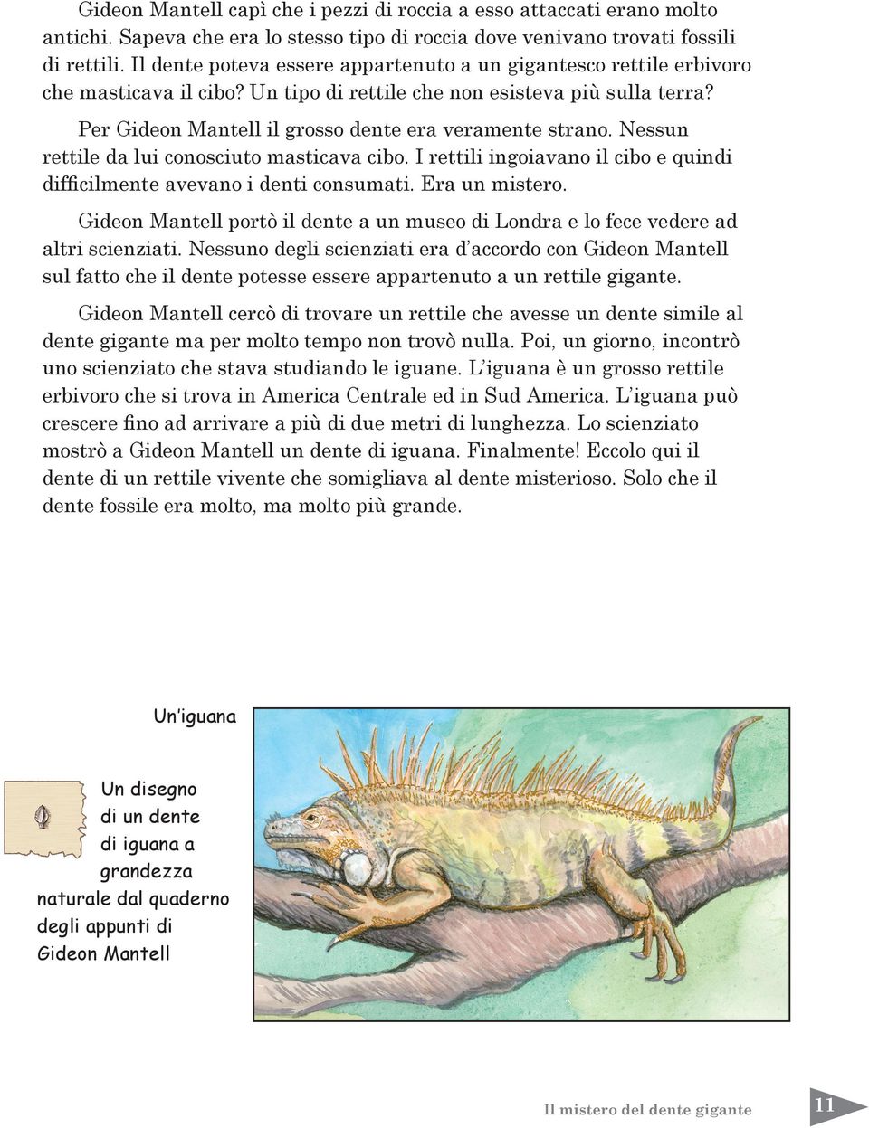 Nessun rettile da lui conosciuto masticava cibo. I rettili ingoiavano il cibo e quindi difficilmente avevano i denti consumati. Era un mistero.