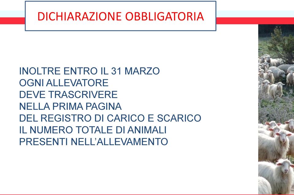 PRIMA PAGINA DEL REGISTRO DI CARICO E SCARICO