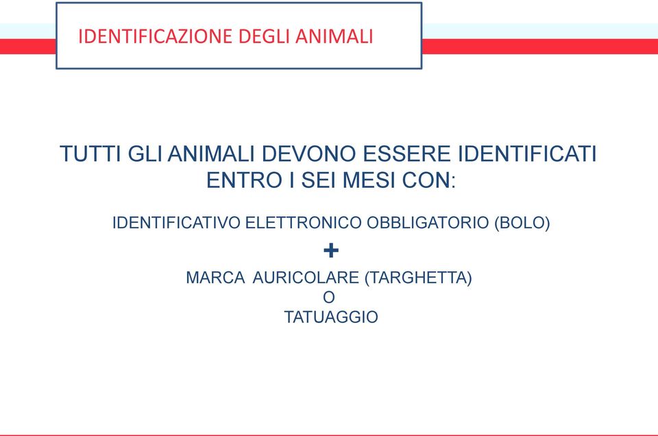 MESI CON: IDENTIFICATIVO ELETTRONICO