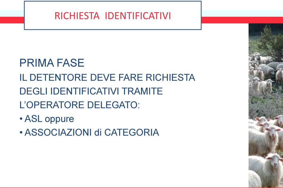 IDENTIFICATIVI TRAMITE L OPERATORE