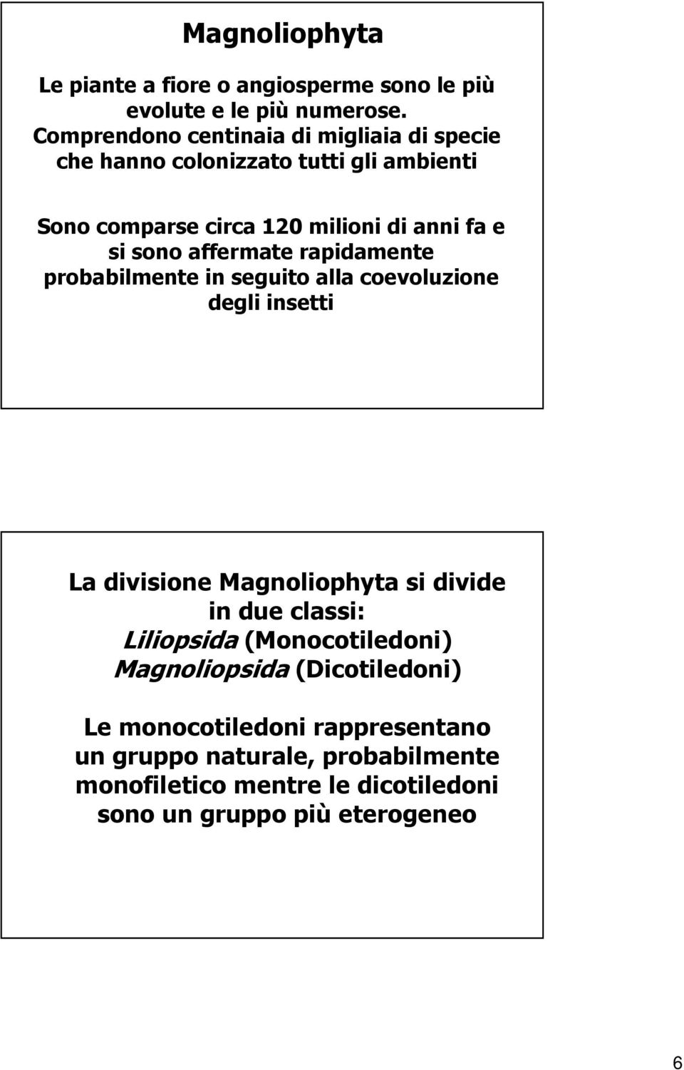 sono affermate rapidamente probabilmente in seguito alla coevoluzione degli insetti La divisione Magnoliophyta si divide in due classi: