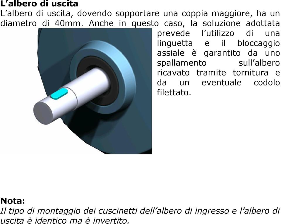 garantito da uno spallamento sull albero ricavato tramite tornitura e da un eventuale codolo filettato.