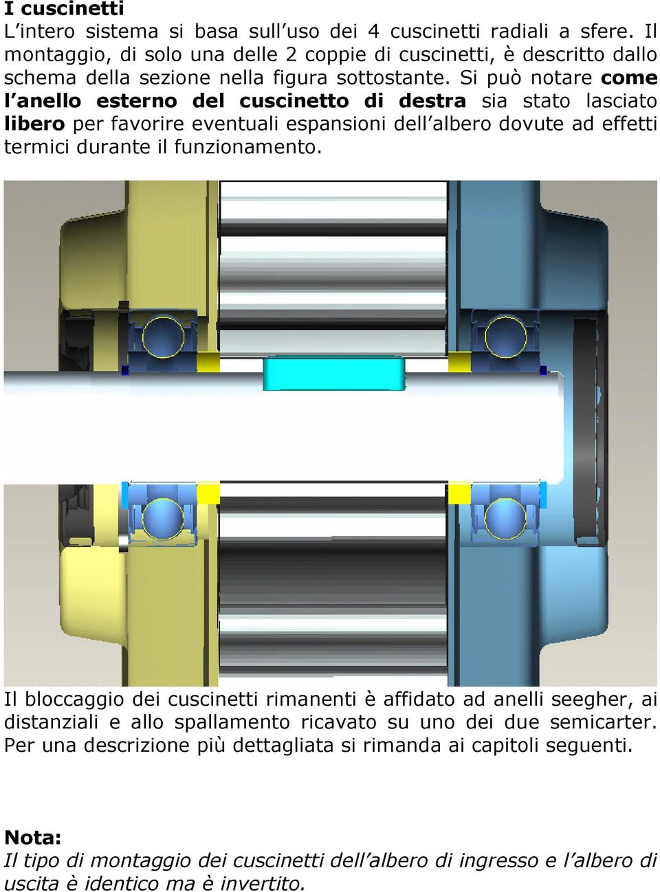 Si può notare come l anello esterno del cuscinetto di destra sia stato lasciato libero per favorire eventuali espansioni dell albero dovute ad effetti termici durante il