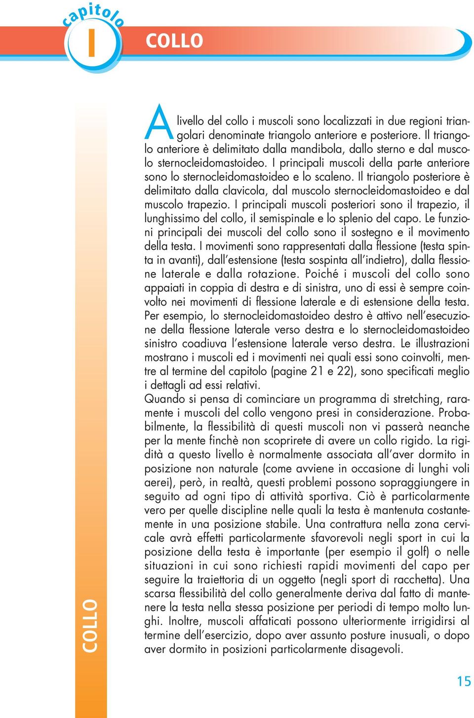 Il triangolo posteriore è delimitato dalla clavicola, dal muscolo sternocleidomastoideo e dal muscolo trapezio.