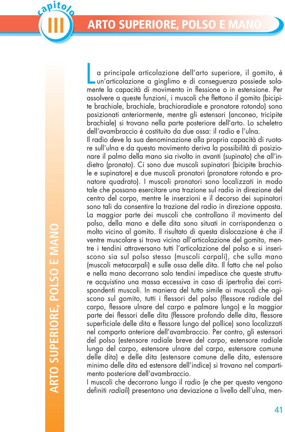 Per assolvere a queste funzioni, i muscoli che flettono il gomito (bicipite brachiale, brachiale, brachioradiale e pronatore rotondo) sono posizionati anteriormente, mentre gli estensori (anconeo,