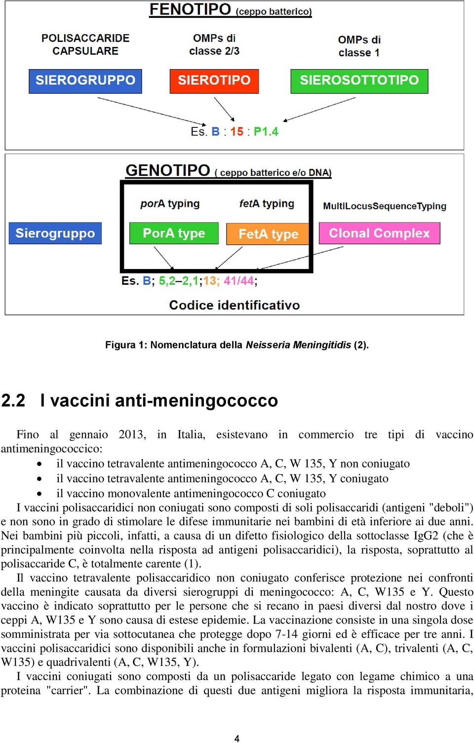 vaccino tetravalente antimeningococco A, C, W 135, Y coniugato il vaccino monovalente antimeningococco C coniugato I vaccini polisaccaridici non coniugati sono composti di soli polisaccaridi