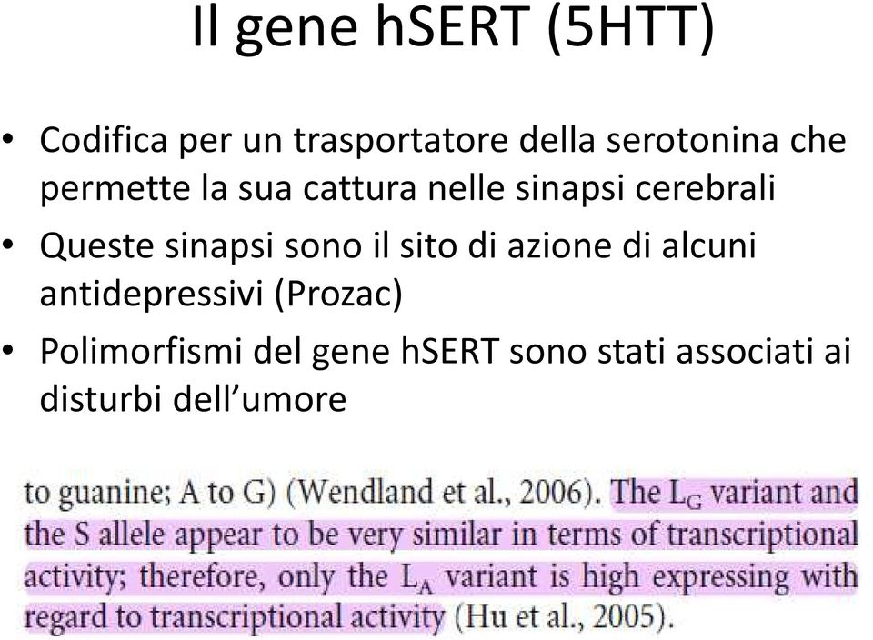 Questesinapsisonoilsitodiazionedialcuni antidepressivi(prozac)