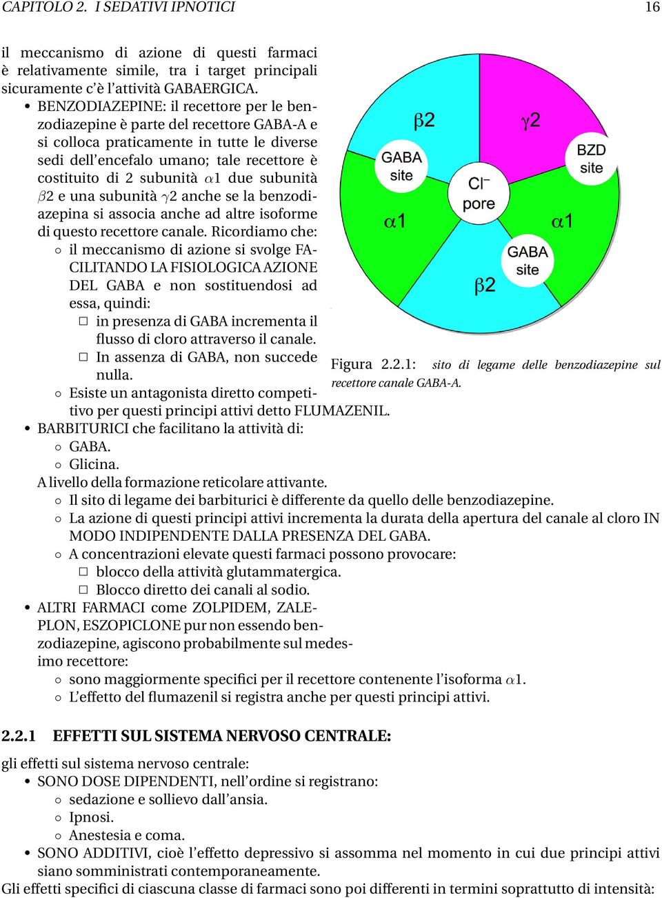 due subunità β2 e una subunità γ2 anche se la benzodiazepina si associa anche ad altre isoforme di questo recettore canale.