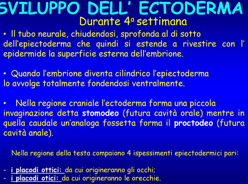 Nella regione craniale l ectoderma forma una piccola invaginazione detta stomodeo (futura cavità orale) mentre in quella caudale un analoga fossetta forma il