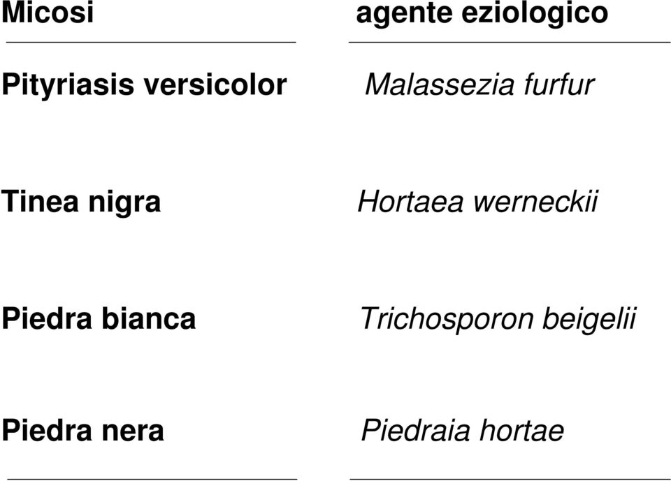 nigra Hortaea werneckii Piedra bianca