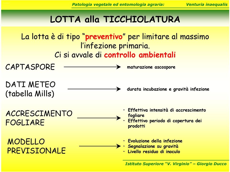 FOGLIARE MODELLO PREVISIONALE durata incubazione e gravità infezione Effettiva intensità di accrescimento