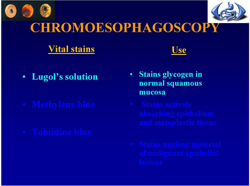 mucosa Stains actively absorbing epithelium and metaplastic