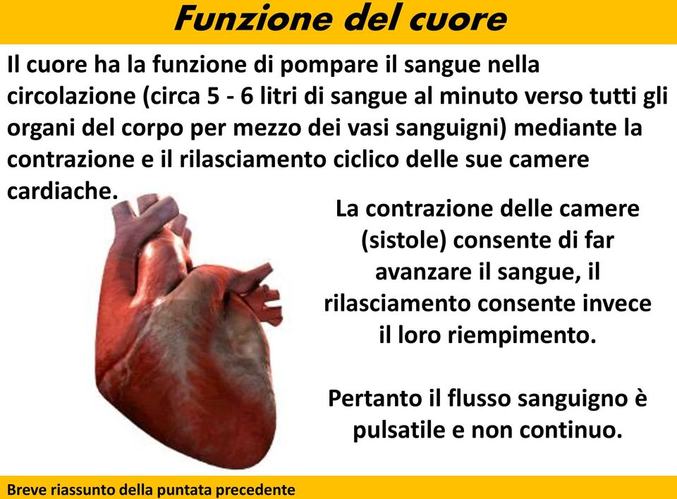 la contrazione e il rilasciamento ciclico delle sue camere cardiache.