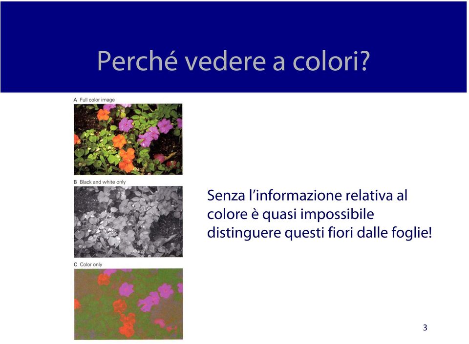 al colore è quasi impossibile