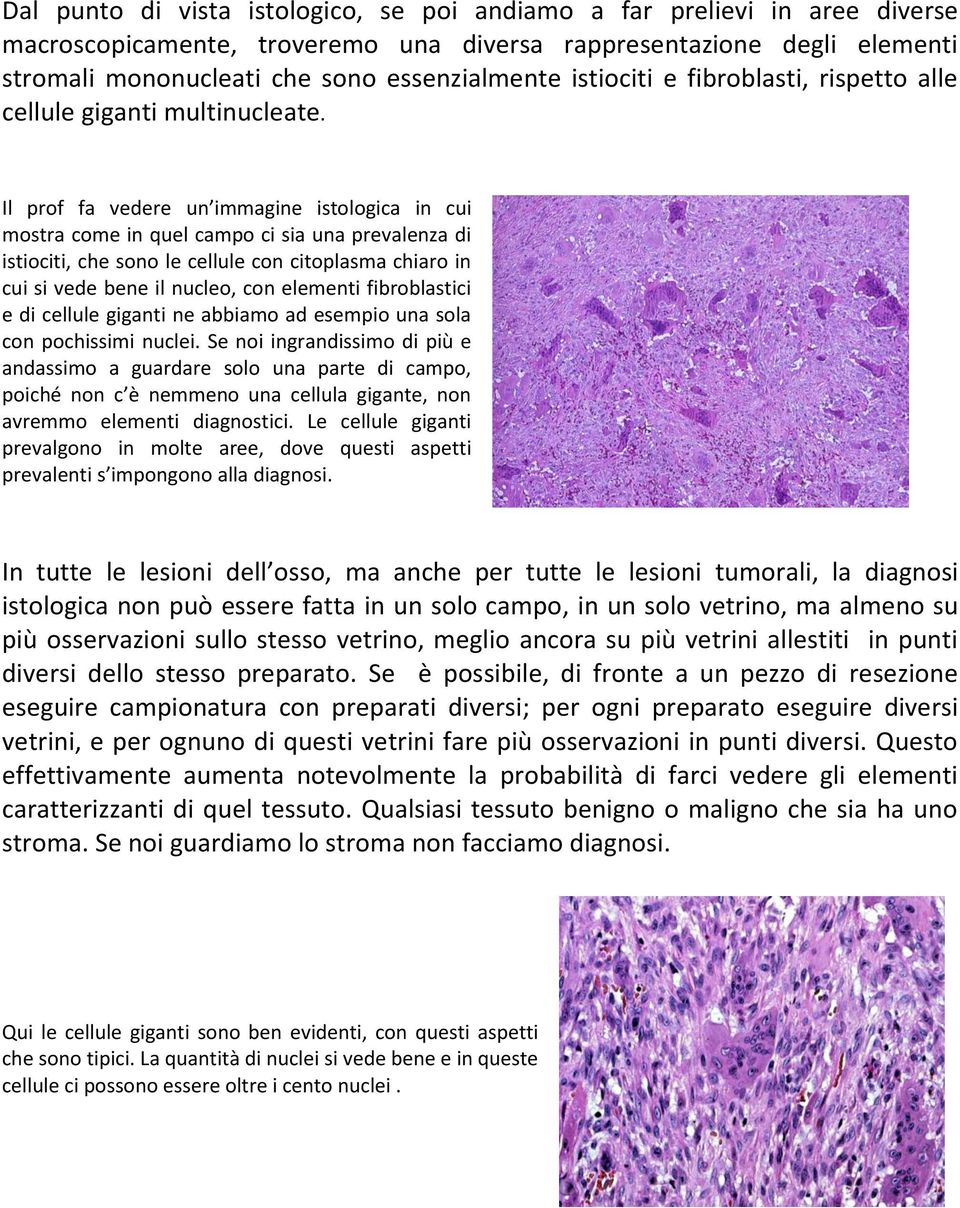 Il prof fa vedere un immagine istologica in cui mostra come in quel campo ci sia una prevalenza di istiociti, che sono le cellule con citoplasma chiaro in cui si vede bene il nucleo, con elementi