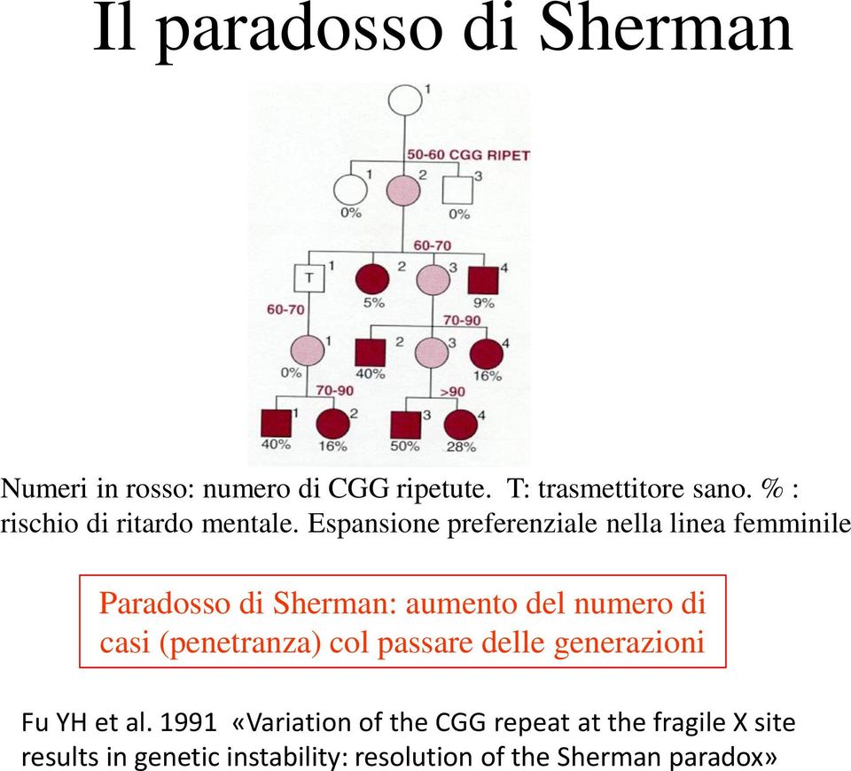 Espansione preferenziale nella linea femminile Paradosso di Sherman: aumento del numero di casi