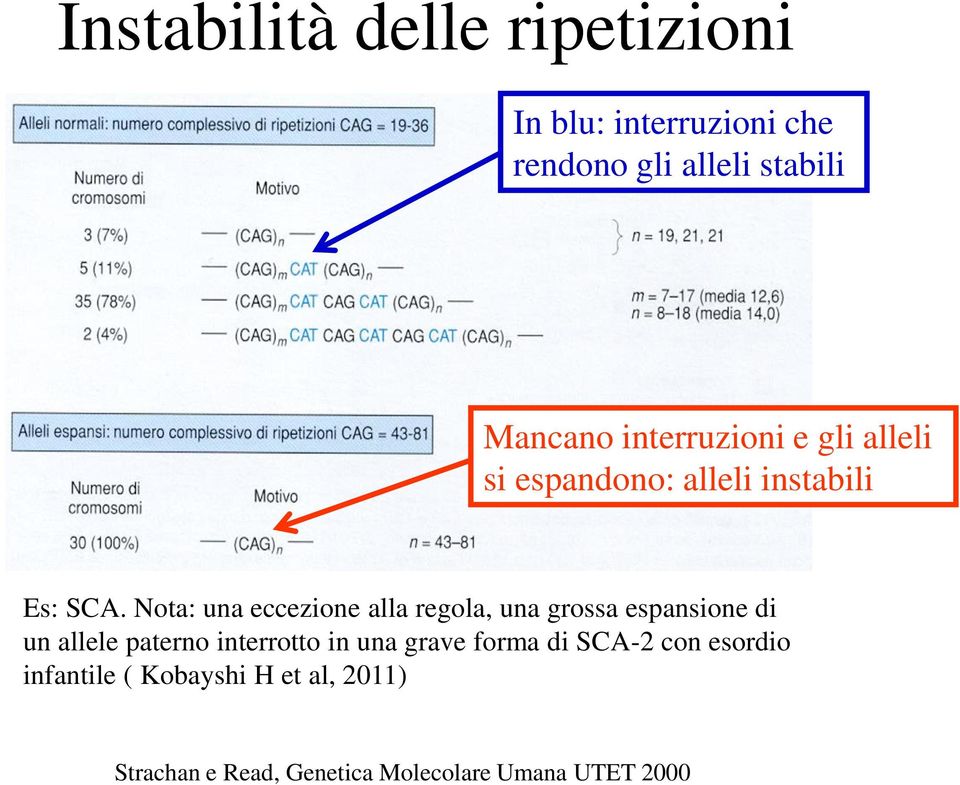 Nota: una eccezione alla regola, una grossa espansione di un allele paterno interrotto in