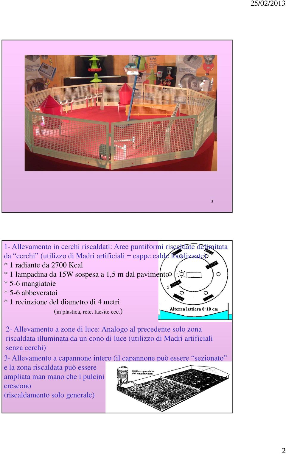 ecc.) 2- Allevamento a zone di luce: Analogo al precedente solo zona riscaldata illuminata da un cono di luce (utilizzo di Madri artificiali senza cerchi) 3-