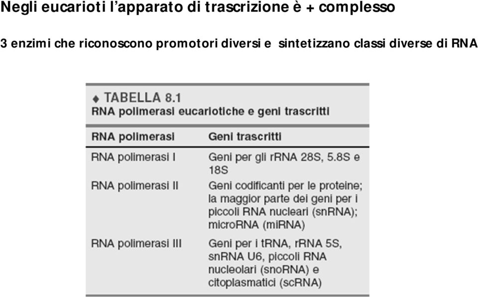 enzimi che riconoscono promotori