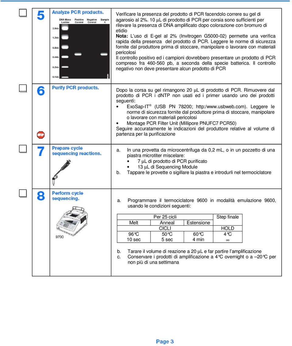 verifica rapida della presenza del prodotto di PCR.