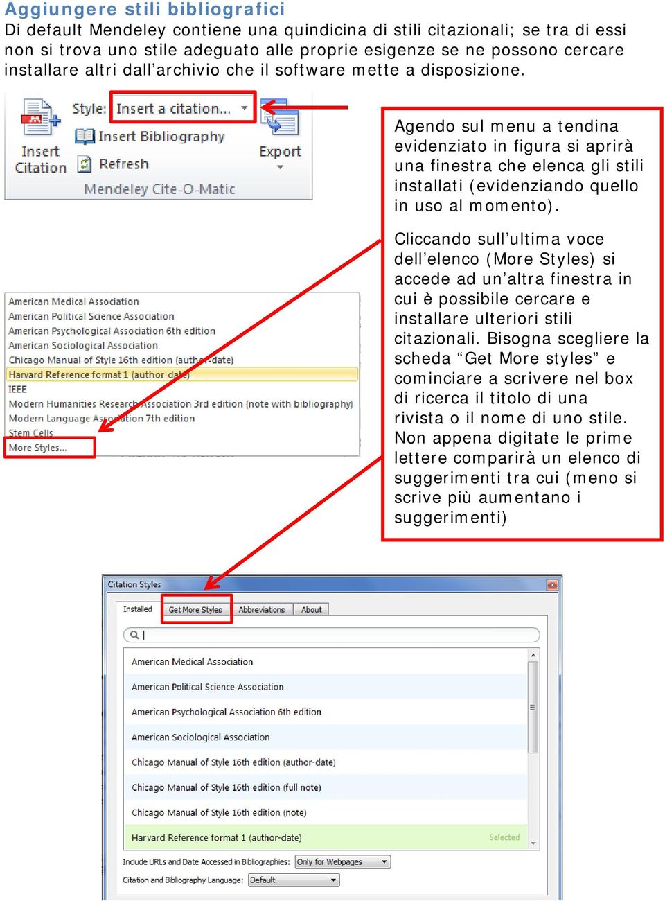 Agendo sul menu a tendina evidenziato in figura si aprirà una finestra che elenca gli stili installati (evidenziando quello in uso al momento).