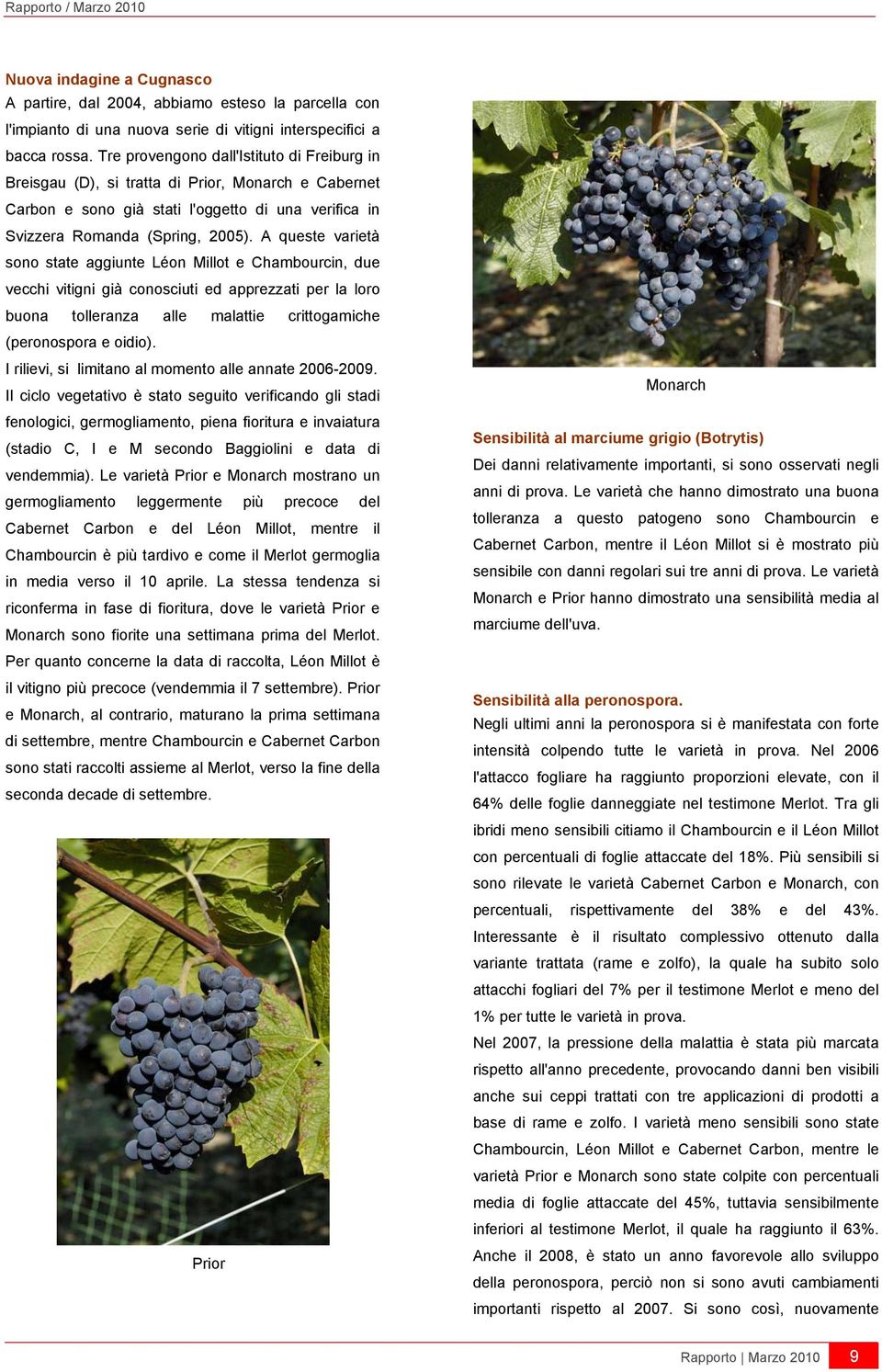 A queste varietà sono state aggiunte Léon Millot e Chambourcin, due vecchi vitigni già conosciuti ed apprezzati per la loro buona tolleranza alle malattie crittogamiche (peronospora e oidio).