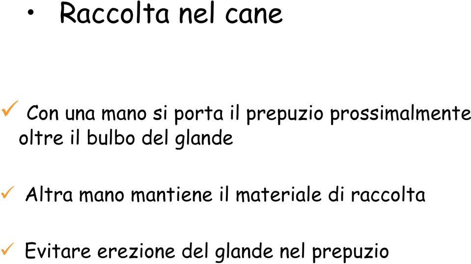 glande Altra mano mantiene il materiale di