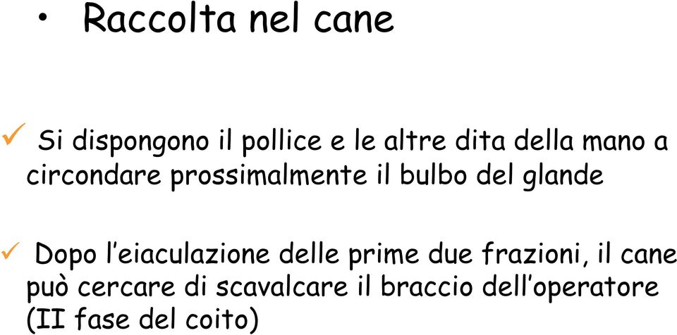 Dopo l eiaculazione delle prime due frazioni, il cane può