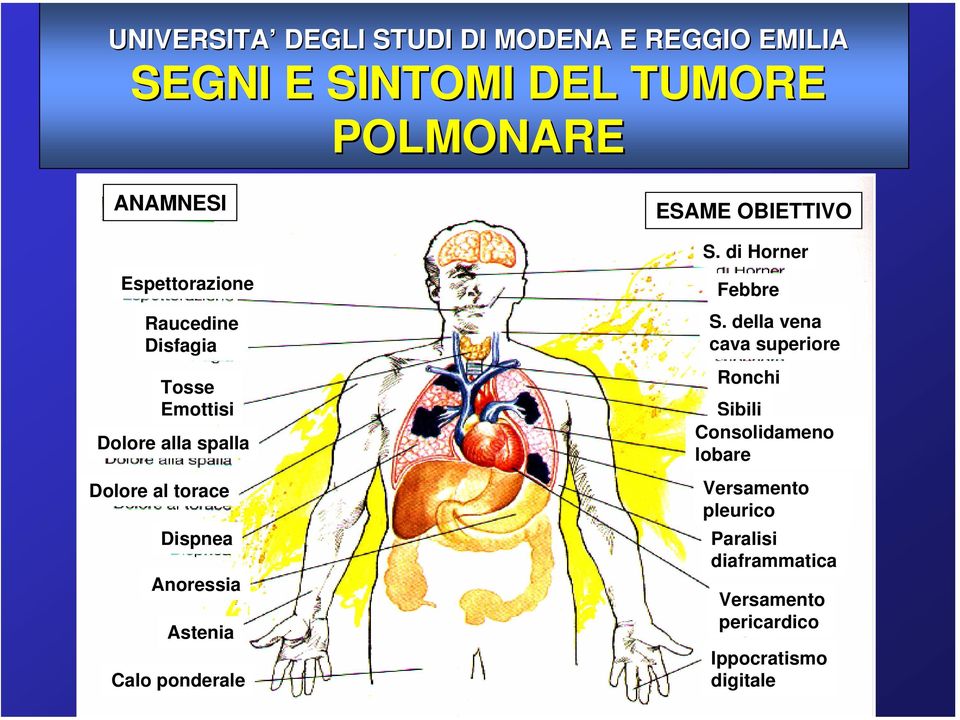 Anoressia Astenia Calo ponderale ESAME OBIETTIVO S. di Horner Febbre S.