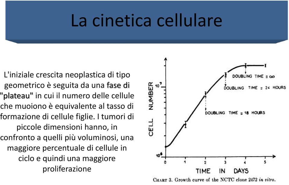 figlie.